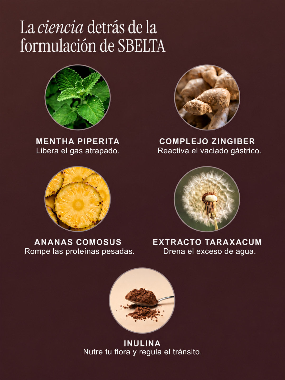SBELTA de BRIO – imagen 5